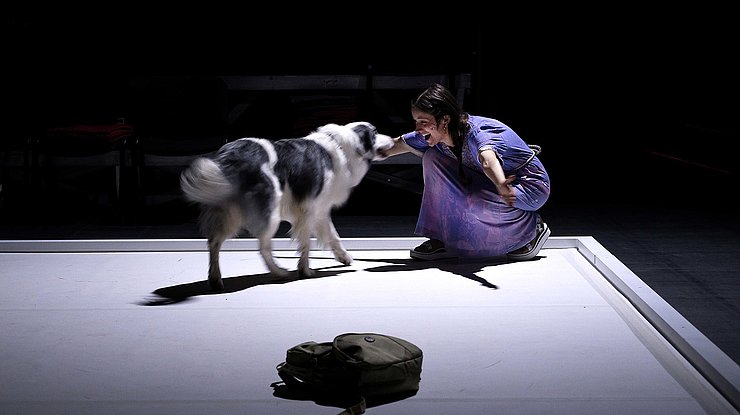 © Frédéric Iovino