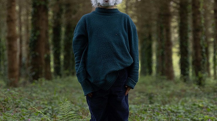 © Pierre-Yves Gaulard