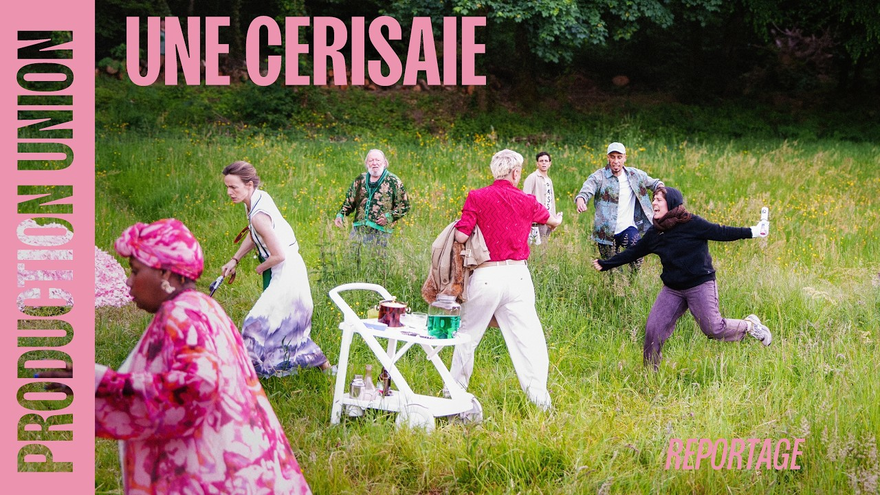 Reportage - UNE CERISAIE