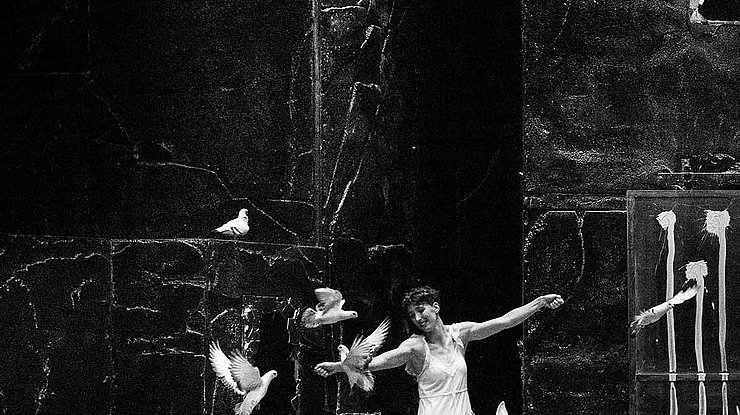 © François Passerini