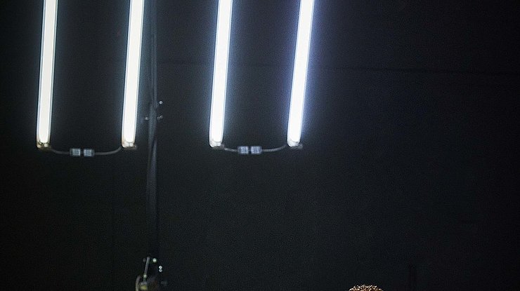 © Christophe Raynaud De Lage