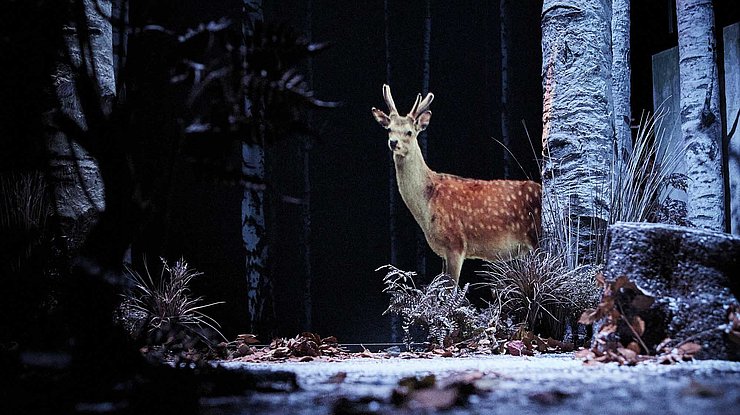 © Christophe Raynaud de Lage