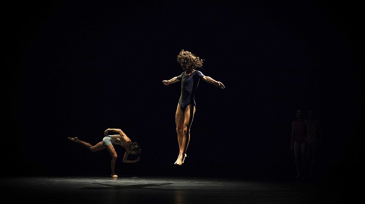 ©Rui Palma