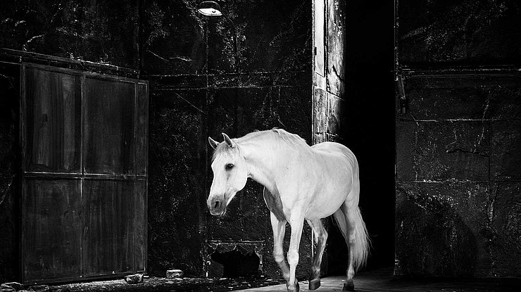 © François Passerini