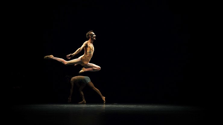 ©Rui Palma