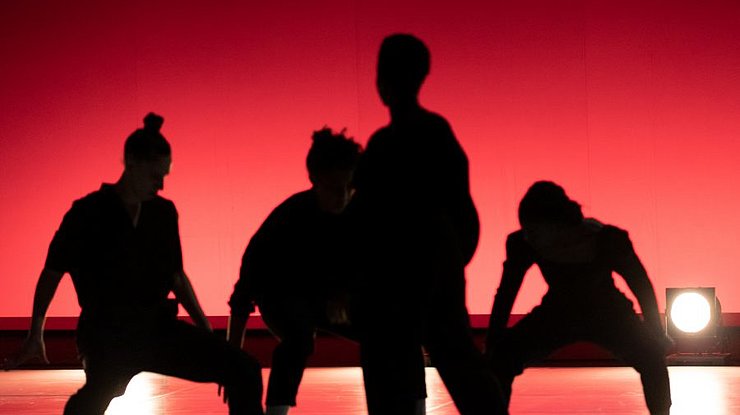 © Timorée Le Jolivet